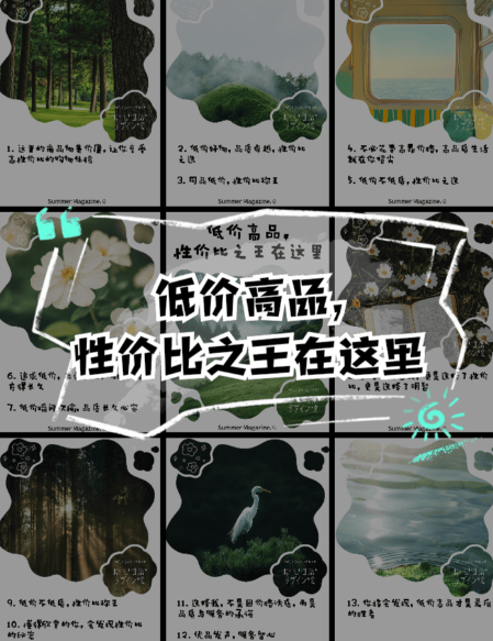 王：十大头部高质低价品牌推荐AG真人澳门百家家乐性价比之(图1)
